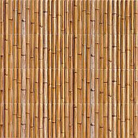 séria Bamboo